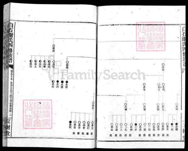 《湖南湘潭白石镇白石谢氏四修族谱》062_白石谢氏四修族谱[62]1994