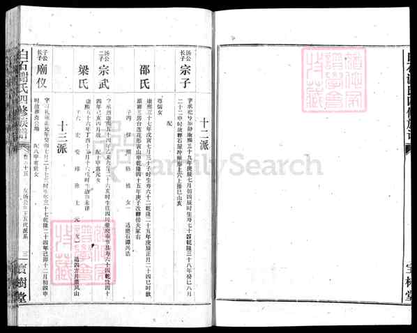 《湖南湘潭白石镇白石谢氏四修族谱》062_白石谢氏四修族谱[62]1994