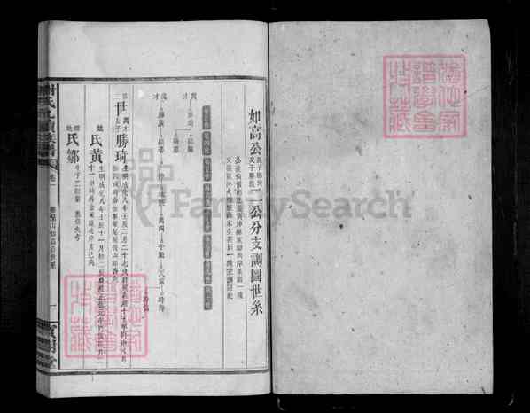 《湖南岳阳临湘临湘南庄谢氏九续族谱》002_谢氏九修族谱 十九卷[2]1339-1896