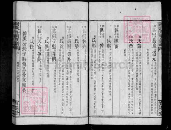 《湖南岳阳临湘临湘南庄谢氏九续族谱》002_谢氏九修族谱 十九卷[2]1339-1896