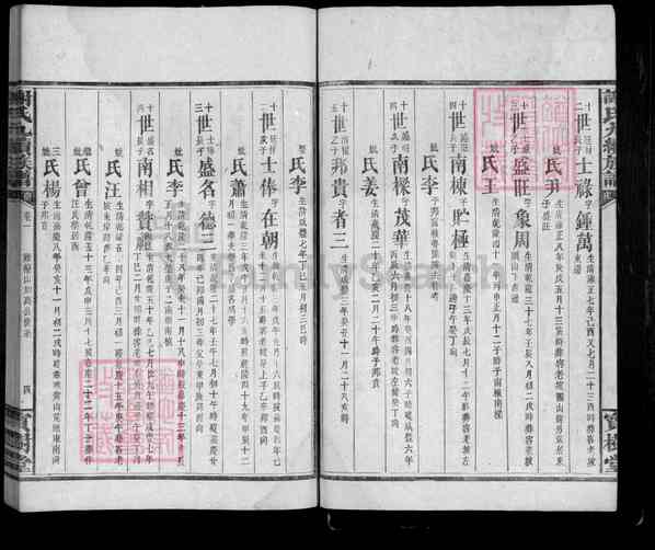 《湖南岳阳临湘临湘南庄谢氏九续族谱》002_谢氏九修族谱 十九卷[2]1339-1896