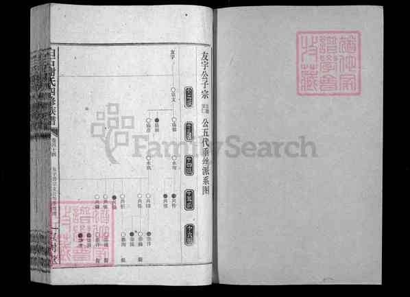 《湖南湘潭湘乡白田镇白石谢氏四修族谱》050_白石谢氏四修族谱七十六卷首四卷[50]1994