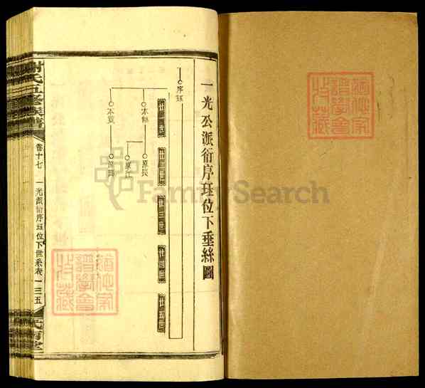 《湖南娄底新化坐石乡谢氏五修族谱》041_谢氏五修族谱[41]1993