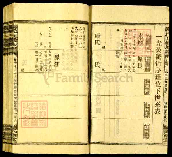 《湖南娄底新化坐石乡谢氏五修族谱》041_谢氏五修族谱[41]1993