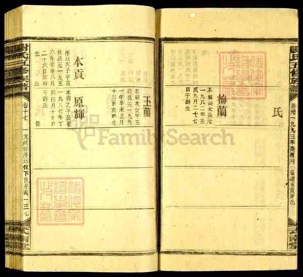 《湖南娄底新化坐石乡谢氏五修族谱》041_谢氏五修族谱[41]1993