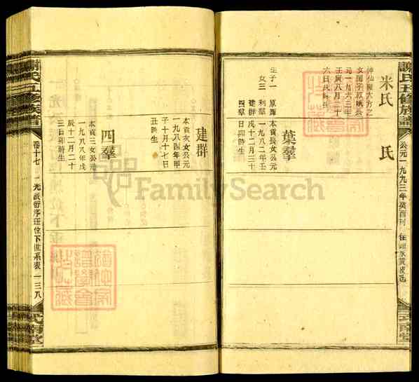 《湖南娄底新化坐石乡谢氏五修族谱》041_谢氏五修族谱[41]1993