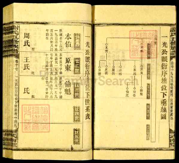 《湖南娄底新化坐石乡谢氏五修族谱》041_谢氏五修族谱[41]1993