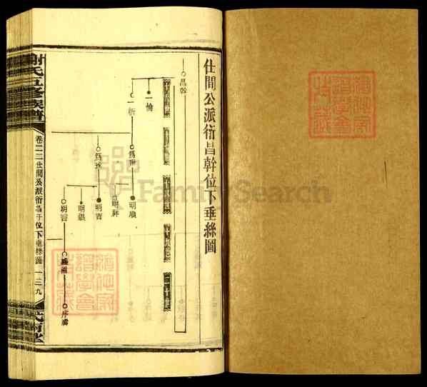 《湖南娄底新化坐石乡谢氏五修族谱》049_谢氏五修族谱[49]1993