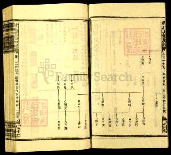 《湖南娄底新化坐石乡谢氏五修族谱》049_谢氏五修族谱[49]1993