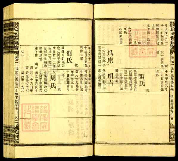 《湖南娄底新化坐石乡谢氏五修族谱》049_谢氏五修族谱[49]1993