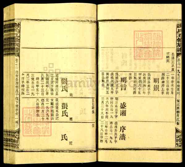 《湖南娄底新化坐石乡谢氏五修族谱》049_谢氏五修族谱[49]1993