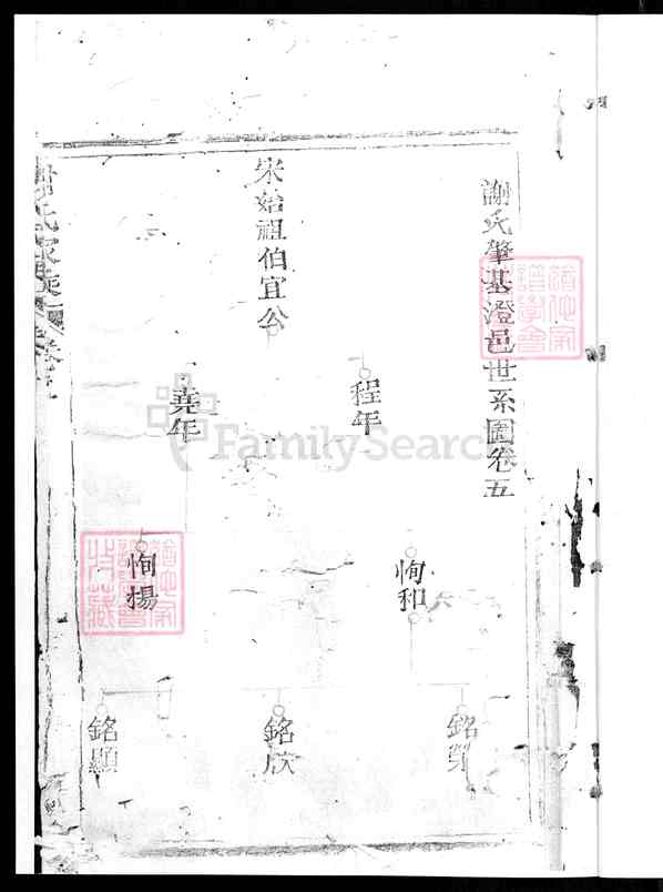 《福建厦门海沧区石塘谢氏世谱》027_石塘谢氏世谱[5]卷五_1992