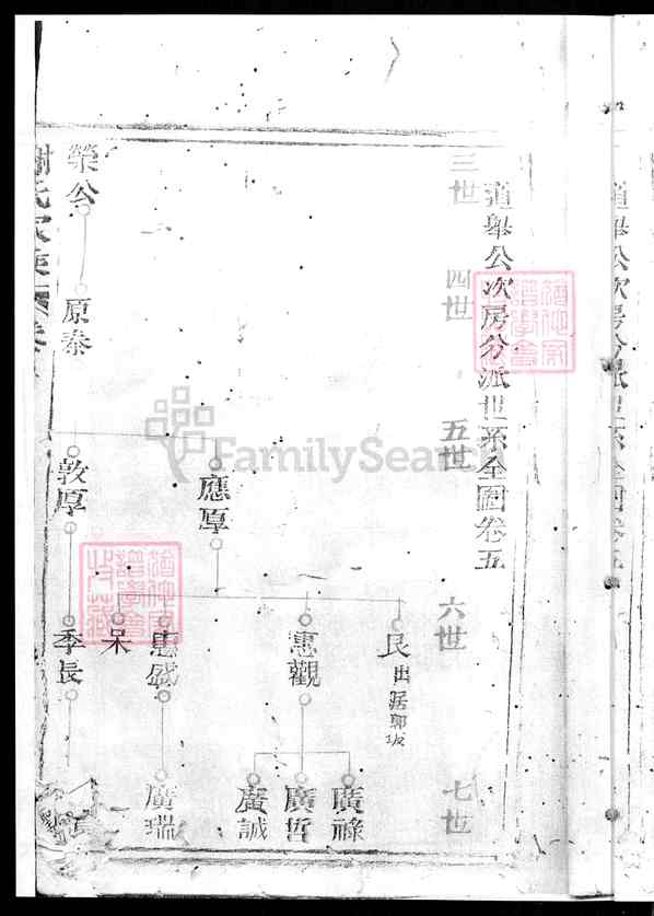 《福建厦门海沧区石塘谢氏世谱》027_石塘谢氏世谱[5]卷五_1992