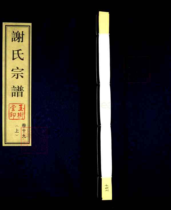 《江苏常州新北区罗溪镇谢氏宗谱》019_谢氏宗谱[21卷][19]2013