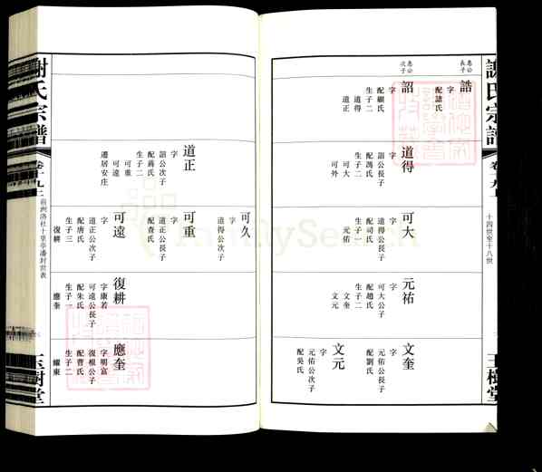 《江苏常州新北区罗溪镇谢氏宗谱》019_谢氏宗谱[21卷][19]2013