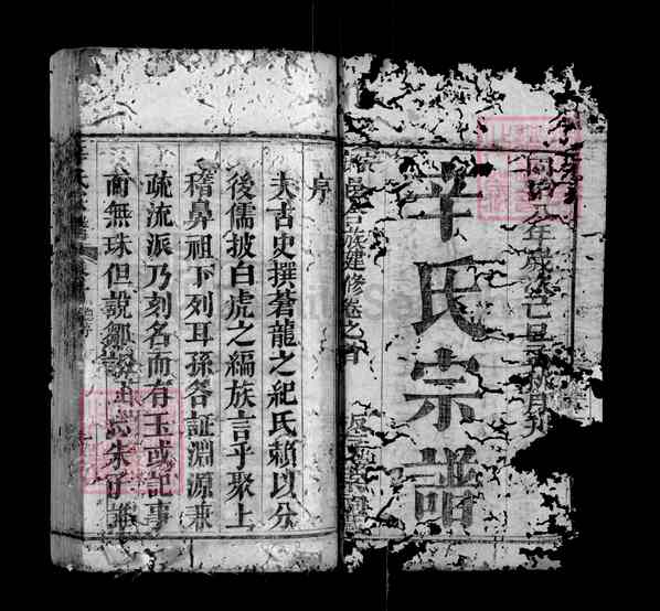 《湖北黄冈红安辛氏宗谱》001_辛氏宗谱 八卷[1]1369-1869