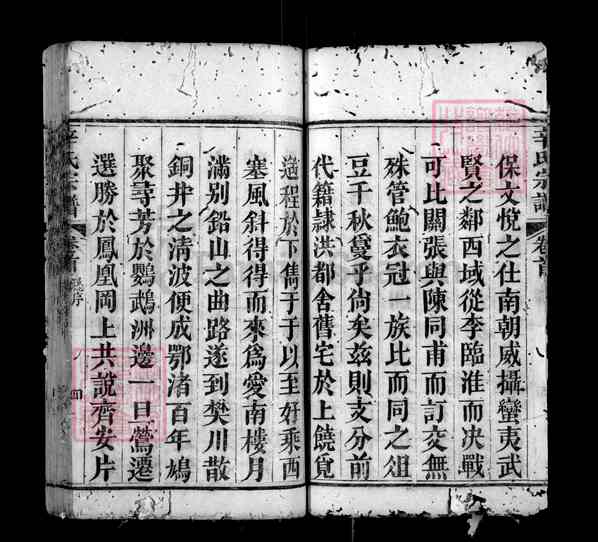 《湖北黄冈红安辛氏宗谱》001_辛氏宗谱 八卷[1]1369-1869