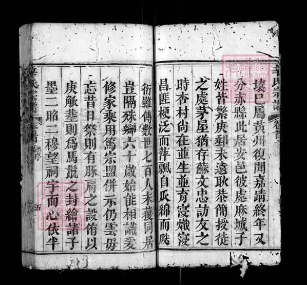 《湖北黄冈红安辛氏宗谱》001_辛氏宗谱 八卷[1]1369-1869