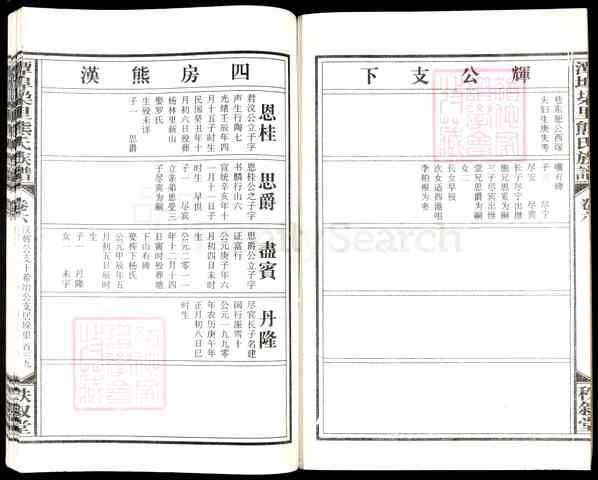 《江西宜春丰城河洲街道潭埠垛里熊氏族谱》009_潭埠垜里熊氏族谱[9]2015