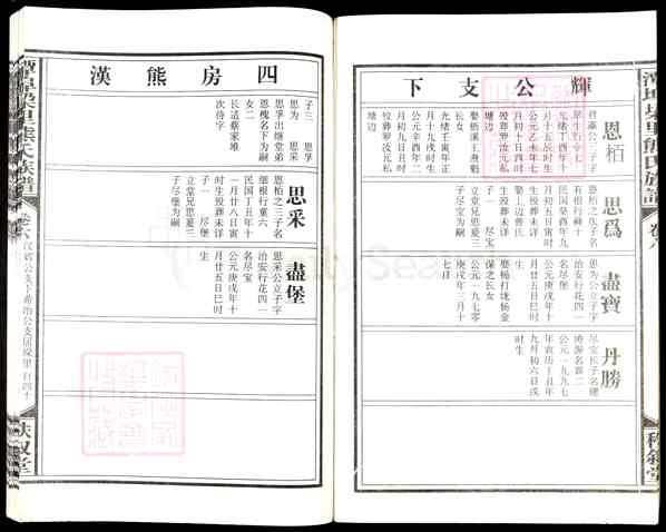 《江西宜春丰城河洲街道潭埠垛里熊氏族谱》009_潭埠垜里熊氏族谱[9]2015