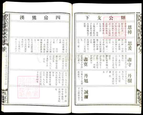 《江西宜春丰城河洲街道潭埠垛里熊氏族谱》009_潭埠垜里熊氏族谱[9]2015