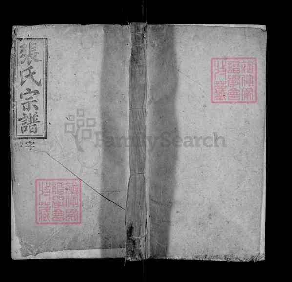《安徽安庆宿松张氏宗谱》013_张氏宗谱 十三卷 首二卷 末一卷[13]1345-1943