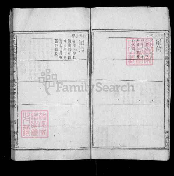 《安徽安庆宿松张氏宗谱》013_张氏宗谱 十三卷 首二卷 末一卷[13]1345-1943