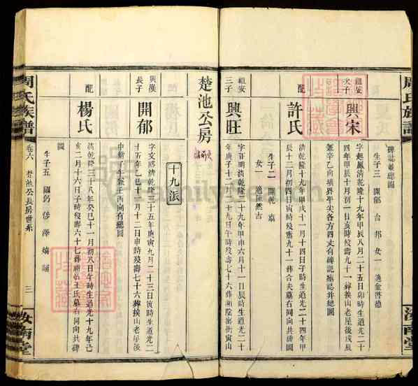 《湖南长沙周氏族谱》009_周氏族谱[9]1335-1919
