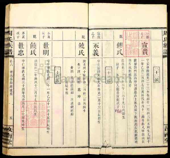 《湖南长沙周氏族谱》009_周氏族谱[9]1335-1919