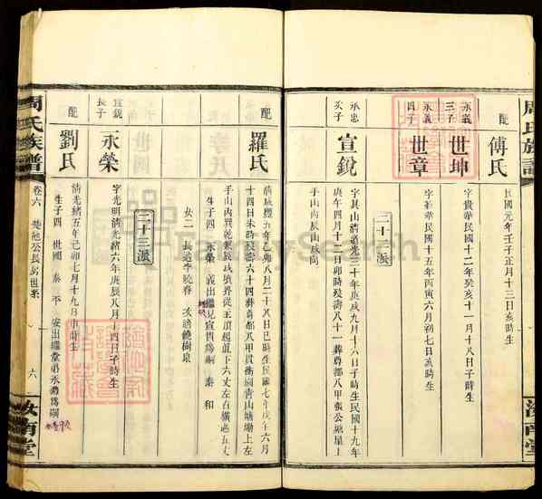 《湖南长沙周氏族谱》009_周氏族谱[9]1335-1919