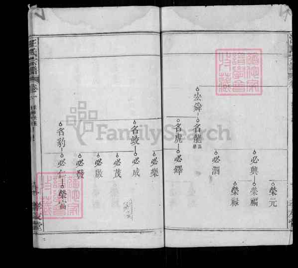 《湖北黄冈罗田汪氏族志》汪氏宗谱[3]1370-1924