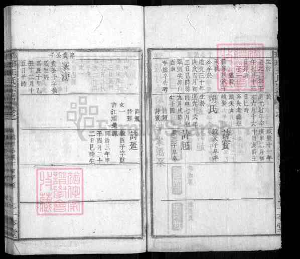 《安徽黄山祁门闪里镇琅琊王氏宗谱》琅琊王氏宗谱 九十卷首六卷末九卷[39]1365-1864