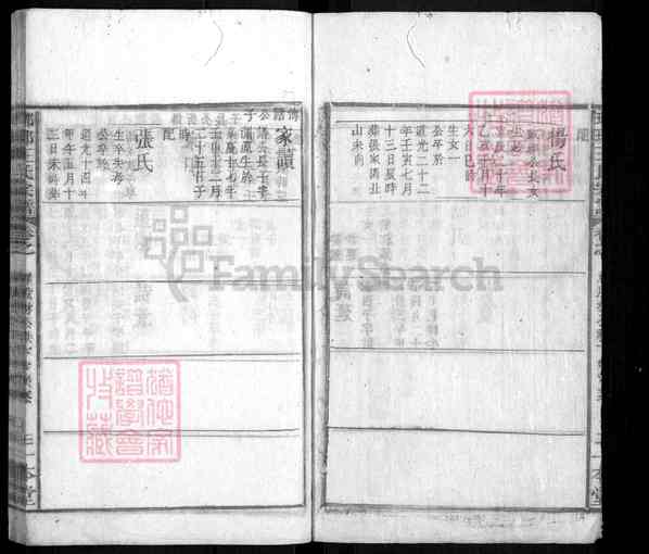 《安徽黄山祁门闪里镇琅琊王氏宗谱》琅琊王氏宗谱 九十卷首六卷末九卷[39]1365-1864