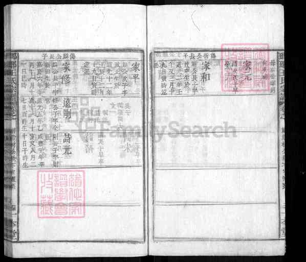 《安徽黄山祁门闪里镇琅琊王氏宗谱》琅琊王氏宗谱 九十卷首六卷末九卷[39]1365-1864