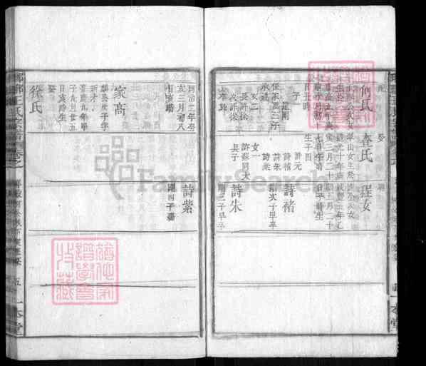 《安徽黄山祁门闪里镇琅琊王氏宗谱》琅琊王氏宗谱 九十卷首六卷末九卷[39]1365-1864