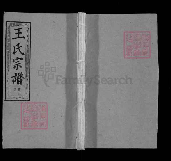 《湖北黄冈红安王氏宗谱》王氏宗谱 三十卷首四卷[28]1369-1997