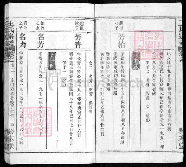 《湖北黄冈红安王氏宗谱》王氏宗谱 三十卷首四卷[28]1369-1997