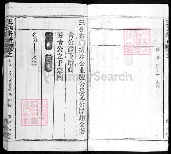 《湖北黄冈红安王氏宗谱》王氏宗谱 三十卷首四卷[28]1369-1997