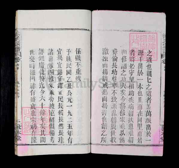 《湖北黄冈麻城徐氏宗谱》徐氏宗谱 二十卷 首四卷[28]1365-1993