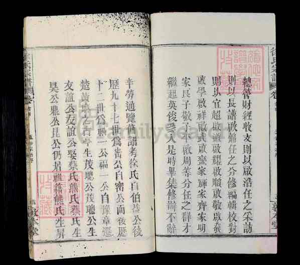 《湖北黄冈麻城徐氏宗谱》徐氏宗谱 二十卷 首四卷[28]1365-1993