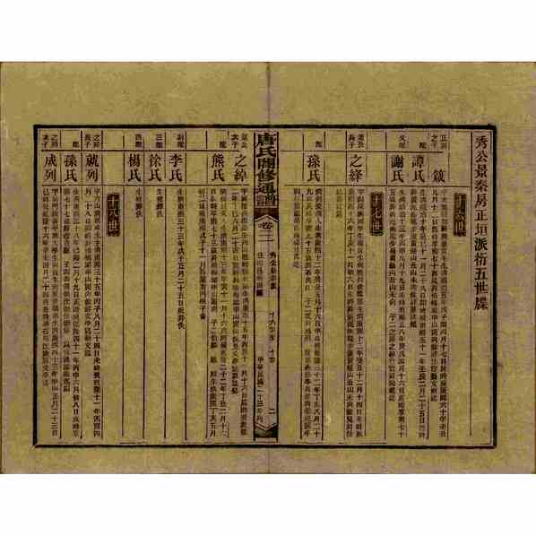 《湖南新化唐氏合修通谱》[43pdf]湖南新化唐氏合修通谱_27_pdf