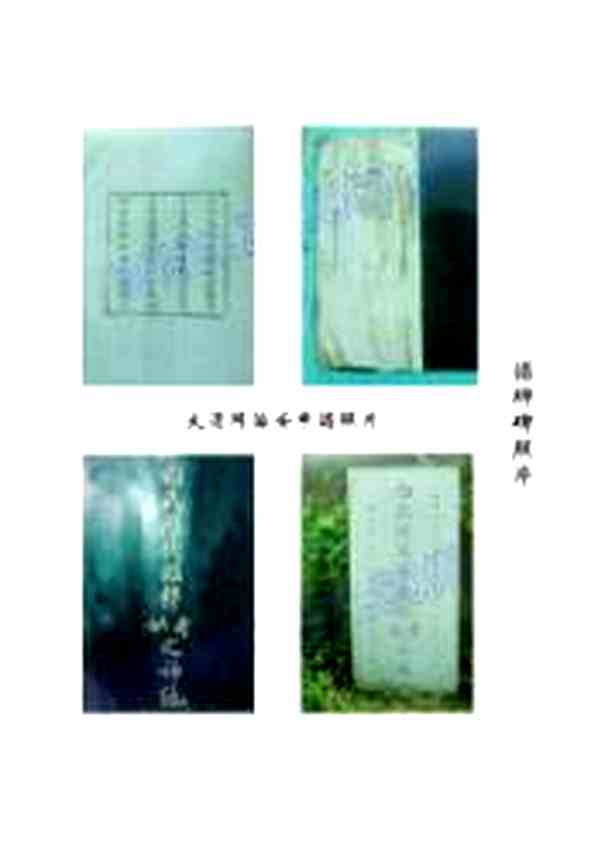 《四川泸州白氏宗谱》[1pdf]四川泸州白氏宗谱_pdf