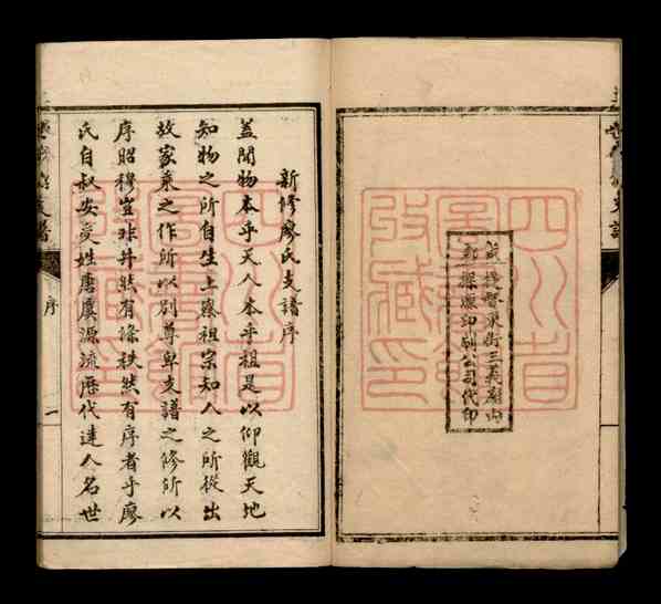 [四川彭州]廖氏世芳公支谱合卷_廖举之纂修_民国十二年（1923）石印本合卷_N1484160