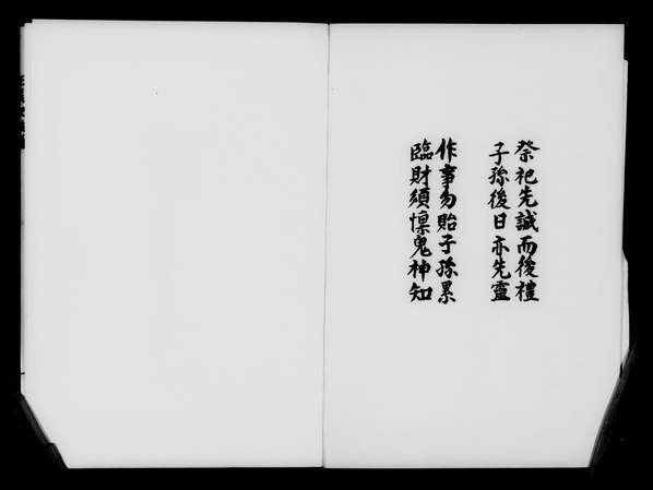 王姓_福建-台湾《开闽尊柄渡台始祖族谱王氏》1965年 王姓_福建-台湾《开闽尊柄渡台始祖族谱王氏》1965年