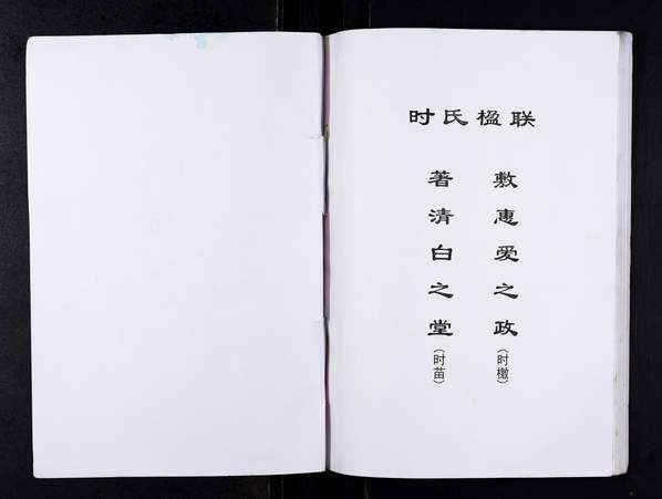 徐姓_谱籍不详《少数谱籍8》 徐姓_谱籍不详《少数谱籍8》